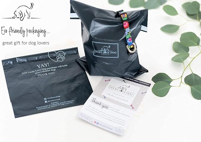 Lucky Love Dog Martingale Dog Collar & Leash - Adjustable, No-Slip, Durable, Comfortable, Soft Webbing, & Stylish Patterned Collar & Leash Set for Male and Female Dogs - Molly Combo, Medium