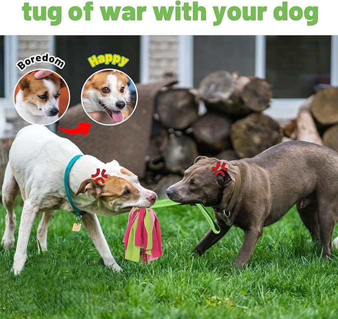 wodoca Interactive Dog Toys, Dog Rope Toys for Aggressive Chewers -Tough Rope Tug of War Dog Toys, Dog Tug Toy for Boredom for Small Medium Puppy Interacting Games (Green)