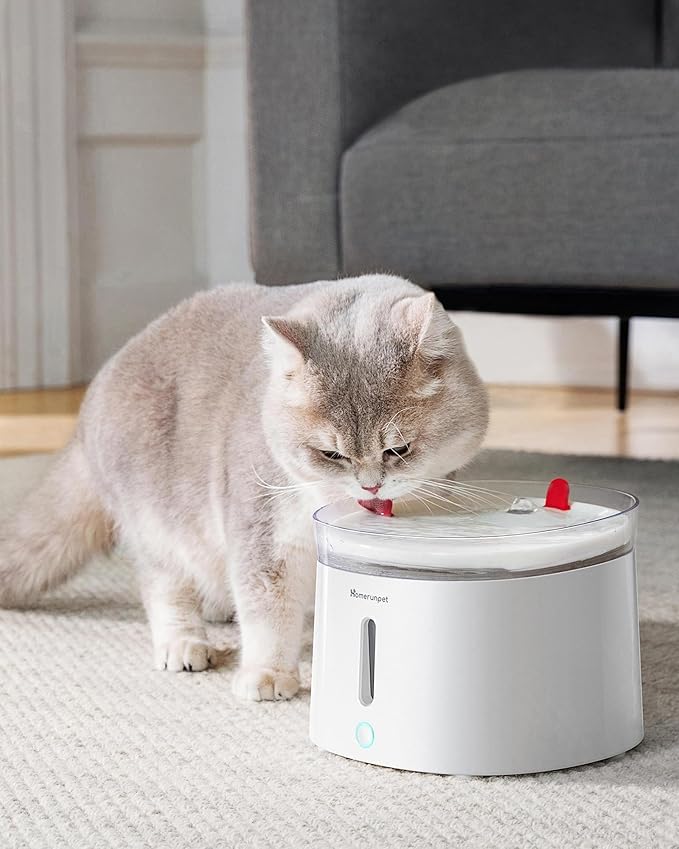 Homerunpet Cat Water Fountain Porcelain-Tray, Wireless Self-Cleaning Pump, Ultra Quiet 20dB Pet Water Dispenser for Cats and Dogs, Easy-to-Clean 2L/68oz with Smart LED and 4-Stage Filtration