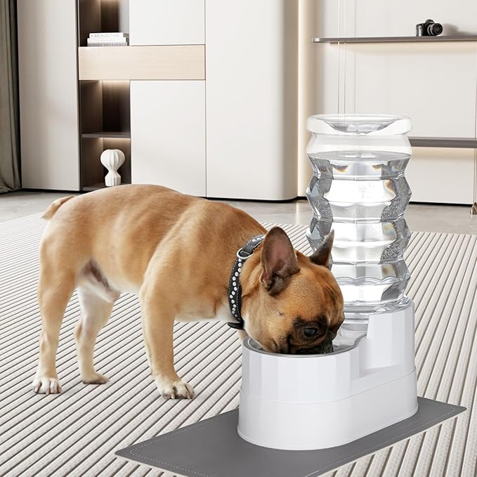 RIZZARI Automatic Dog Water Dispenser:8L Lagre Stainless Steel Raised Pet Water Bowl Gravity Feeder with Triple Filter Specialized Brush - Garage Garden Pet Feeder