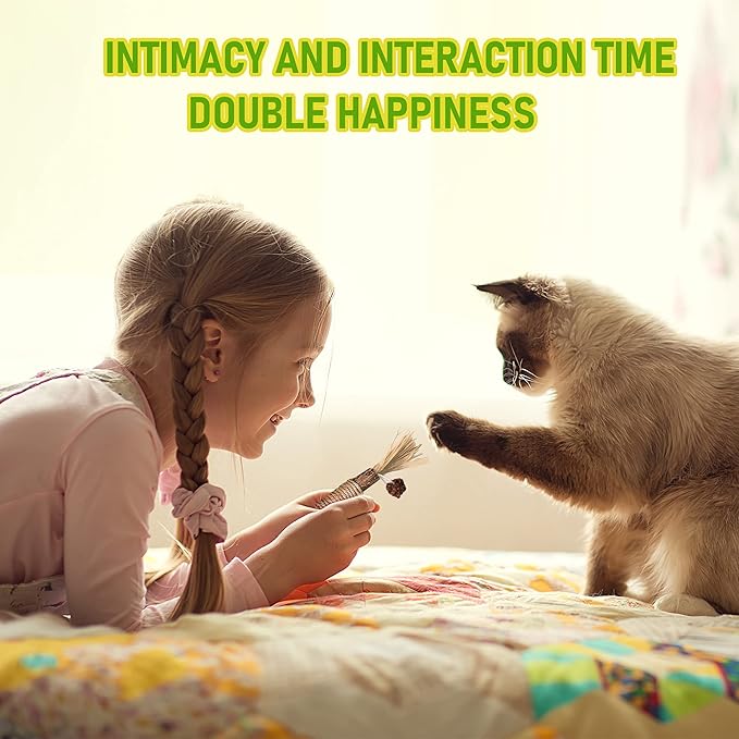 BAWAN Catnip Toys‖ Silvervine for Cats: Cute Cat & Kitten Toys for Indoor Cats Interactive‖ Cat & Kitten Teething Chew Toys for Aggressive Chewers‖ Silvervine Sticks Ca.t Dental Toy (5PCS)