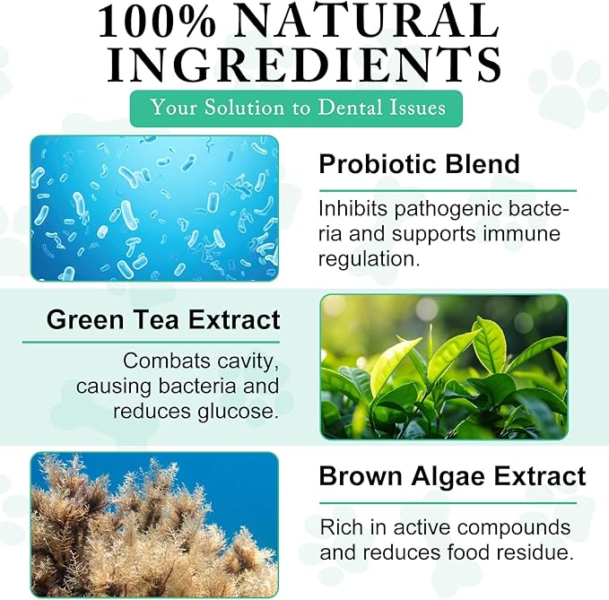 Dog Dental Powder - Pet Dental Powder - Teeth Cleaning P-owder for Dogs - Plaque & Bad Breath Off P-owder D-og, D-ental Care Supplies 100g