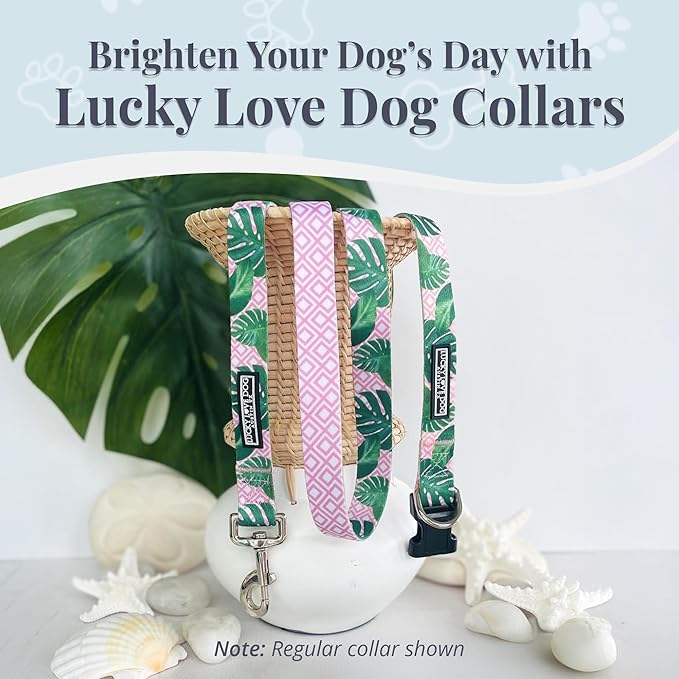 Lucky Love Dog Martingale Dog Collar & Leash - Adjustable, No-Slip, Durable, Comfortable, Soft Webbing, & Stylish Patterned Collar & Leash Set for Male and Female Dogs - Laguna Mart Combo, Small