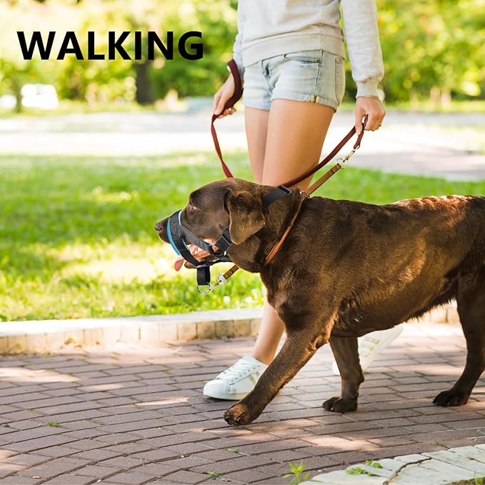 Dog Head Collar, Head Collar with Fabric Padded, Adjustable Training Tool Stop Dog's Pulling (M, Black)