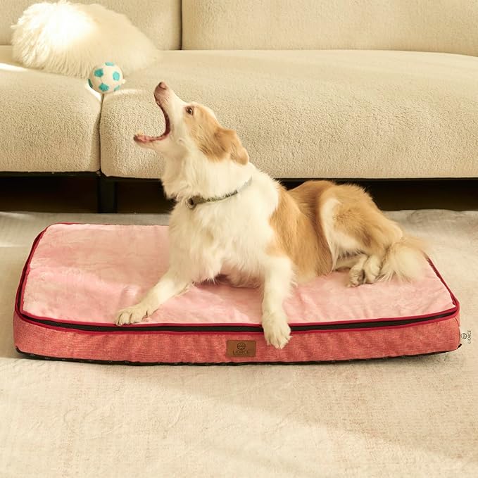 Memory Foam XL Dog Bed - 4” Thick Orthopedic Beds for Extra Large Dogs - Waterproof Dog Bed with Removable Washable Cover & Wrap-Around Zipper - Ultimate Comfort and Easy Maintenance, Pink