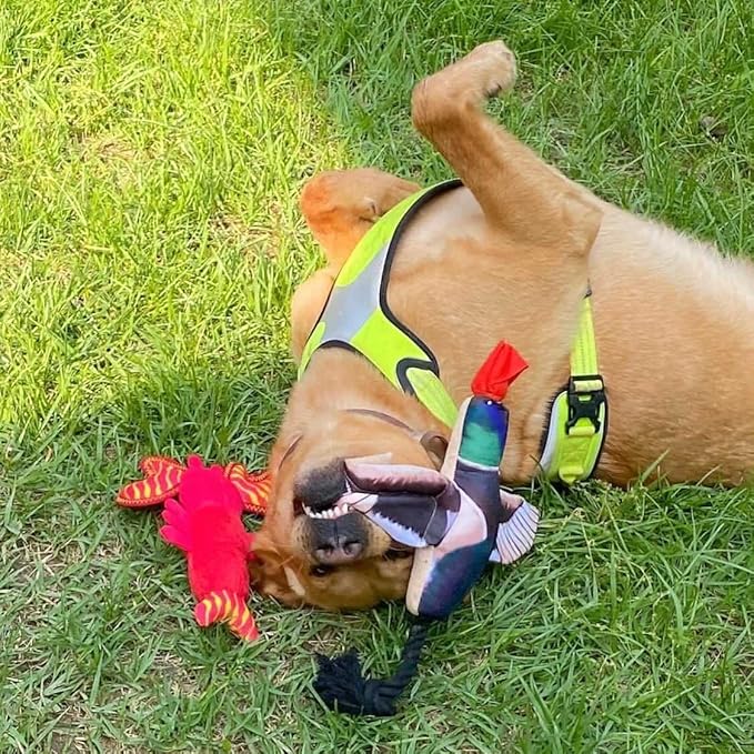 Spunky Pup Fly & Fetch Plush Dog Toy - Duck