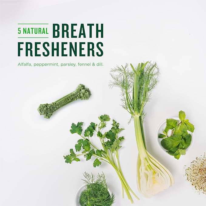 Minties Dental Chews for Dogs, 60 Count FreshBites Soft and Chewy Dental Treats for Dogs, 50 Count