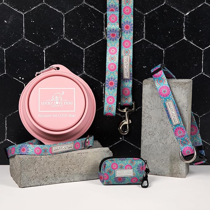 Lucky Love Dog Martingale Dog Collar & Leash - Adjustable, No-Slip, Durable, Comfortable, Soft Webbing, & Stylish Patterned Collar & Leash Set for Male and Female Dogs - Clara Combo, Large