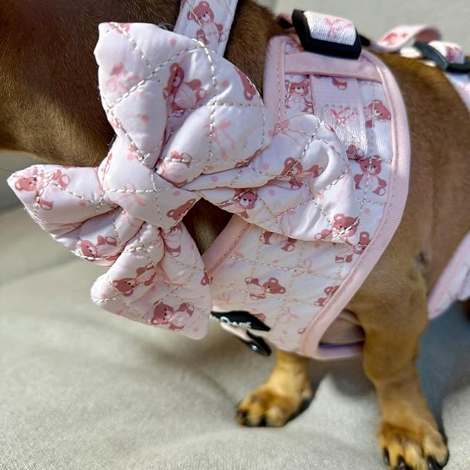 Medium Dog Collar and Harness Set – No Pull, All-Weather, Breathable Harness & Leash Set with Collar, Bandana, Sailor Bow & Poop Bag Holder – Adjustable & Soft - Teddy Coquette on Jacquard Fabric