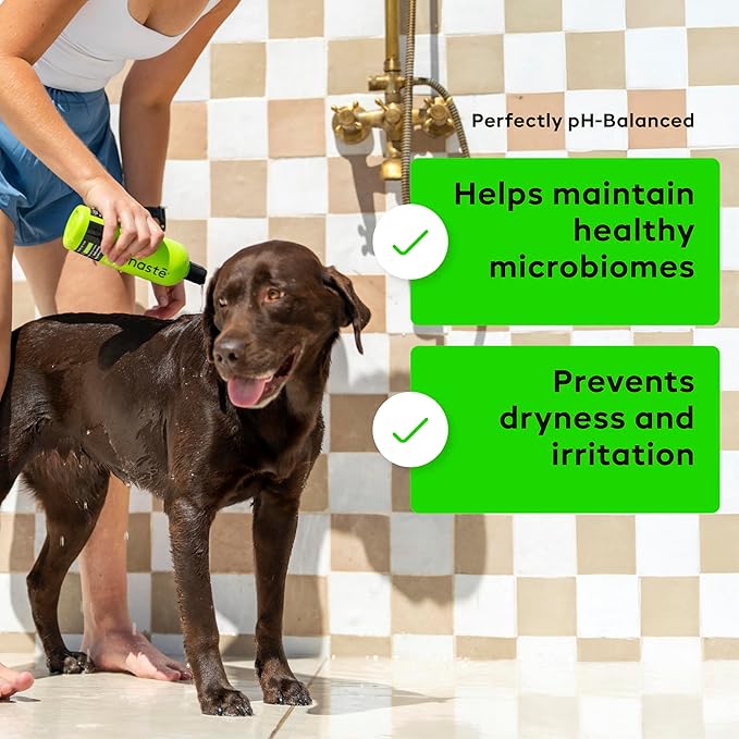 Nonaste Premium Dog Shampoo and Pet Stain & Odor Eliminator Spray (16 Oz, Pack of 2) – USDA Certified Organic Aloe & Oatmeal Dog Shampoo, and Enzyme Cleaner Stain Remover | Dog Wash, Light Fresh Scent