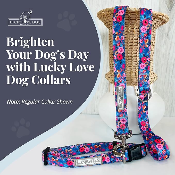 Lucky Love Dog Martingale Dog Collar & Leash - Adjustable, No-Slip, Durable, Comfortable, Soft Webbing, & Stylish Patterned Collar & Leash Set for Male and Female Dogs - Zuzu Combo, Medium