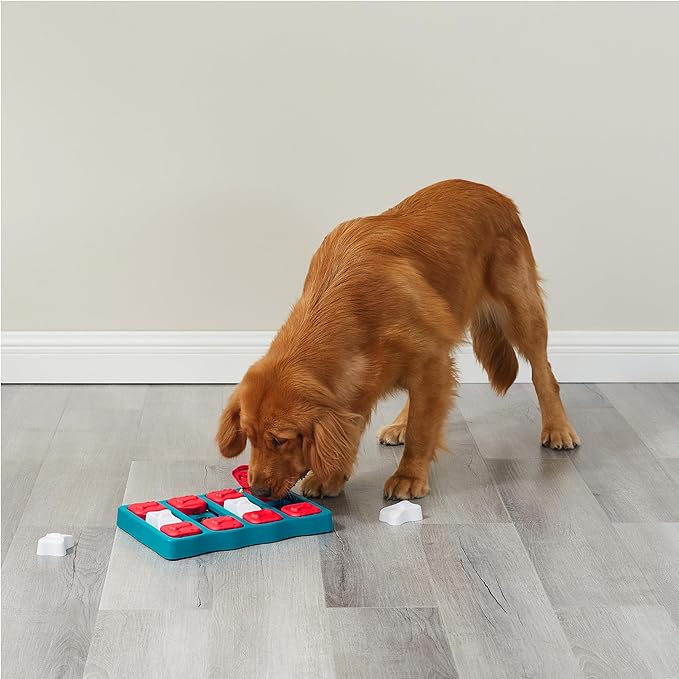 Outward Hound by Nina Ottosson Dog Brick – Interactive Treat Puzzle Enrichment Toy, Level 2 Intermediate