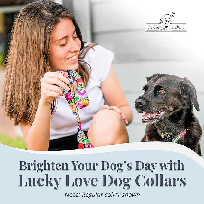 Lucky Love Dog Martingale Dog Collar & Leash - Adjustable, No-Slip, Durable, Comfortable, Soft Webbing, & Stylish Patterned Collar & Leash Set for Male and Female Dogs - Blackbird Combo, Large