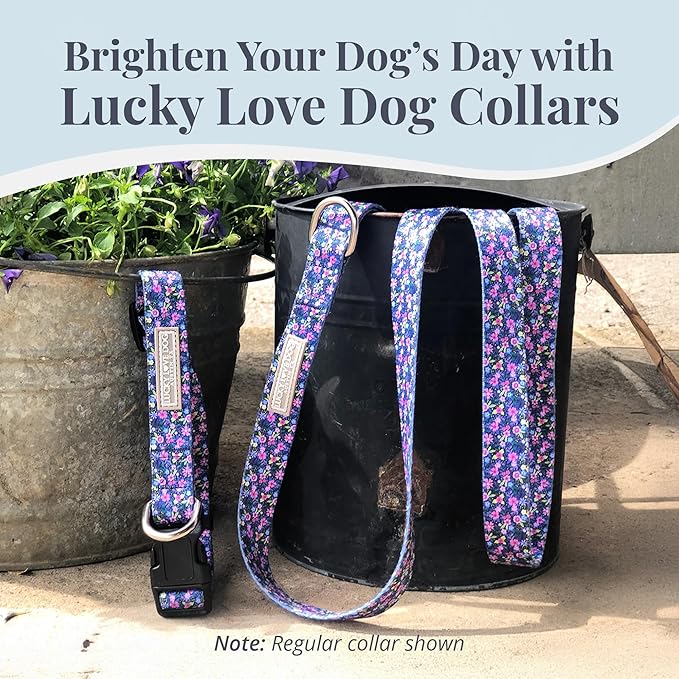Lucky Love Dog Martingale Dog Collar & Leash - Adjustable, No-Slip, Durable, Comfortable, Soft Webbing, & Stylish Patterned Collar & Leash Set for Male and Female Dogs - Primrose Combo, Medium