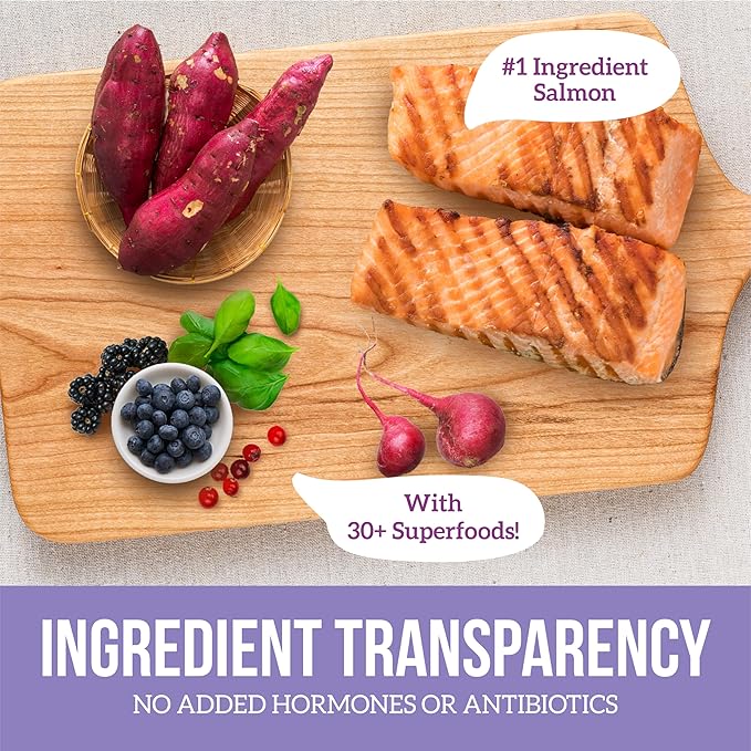 Health Extension Grain Free Salmon & Sweet Potato Little Bites Small Kibble Formula with 30+ Superfoods, Omega 3, and Probiotics for Teacups, Toys & Miniature Dogs (3.5lb)