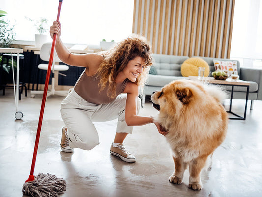 Woman cleaning hardwood floor with mop while smiling at her dog in a bright pet-friendly home, safe indoor pet cleaning routine