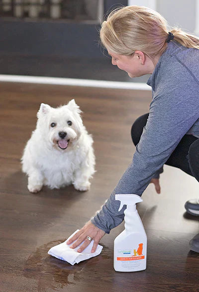 Woman cleaning pet accident on hardwood floor with enzymatic spray while puppy watches
