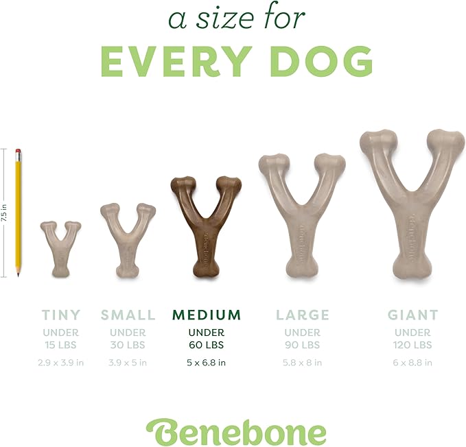Benebone Wishbone Durable Dog Chew Toy for Aggressive Chewers, Real Bacon, Made in USA, Medium