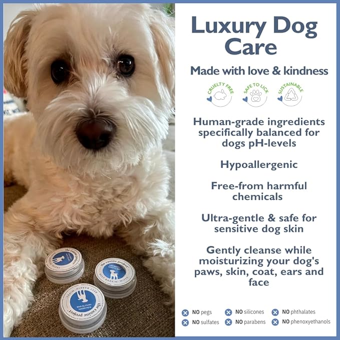 Best BARKIN' Wipes with Free Mesh Bag - Dog Wipes for Paws Ears and Butt - Micellar Aloe Scented Travel Friendly Puppy Wipes (100-Pack)