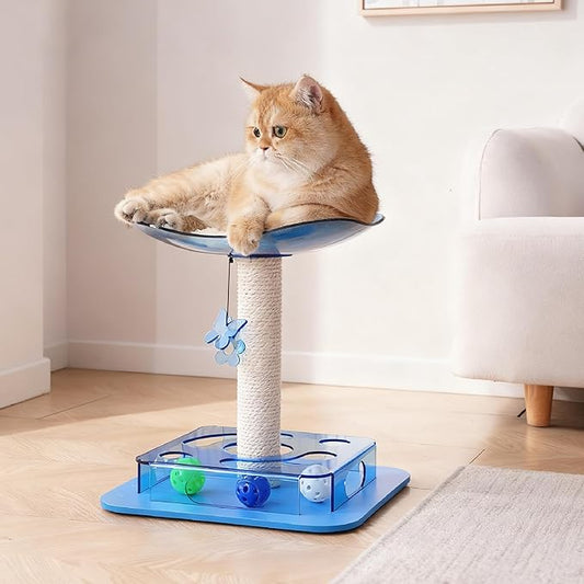 Kicari Modern 3-in-1 Interactive Cat Toy, Puzzle Box Cat Puzzle Toys for Indoor Cats with Bed/Perch, Small Cotton Scratching Posts, Colorful Jingle Balls, Dangling Toy Accent, Acrylic Blue