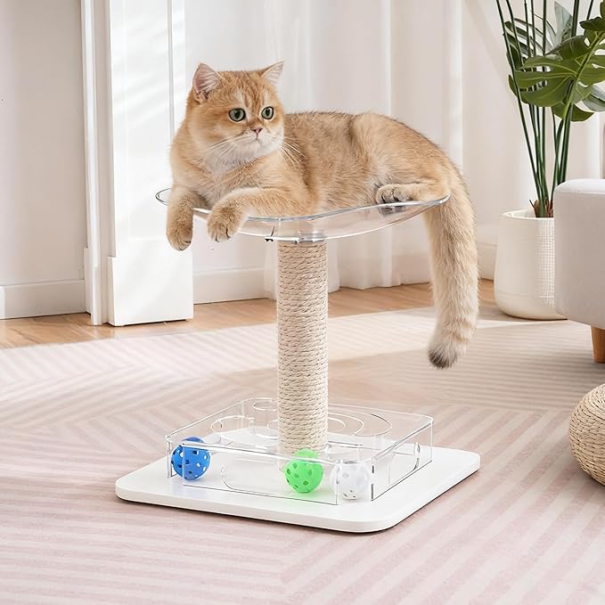 Kicari Modern 3-in-1 Interactive Cat Toy, Puzzle Box Cat Puzzle Toys for Indoor Cats with Bed/Perch, Small Cotton Scratching Posts, Colorful Jingle Balls, Dangling Toy Accent, Acrylic White