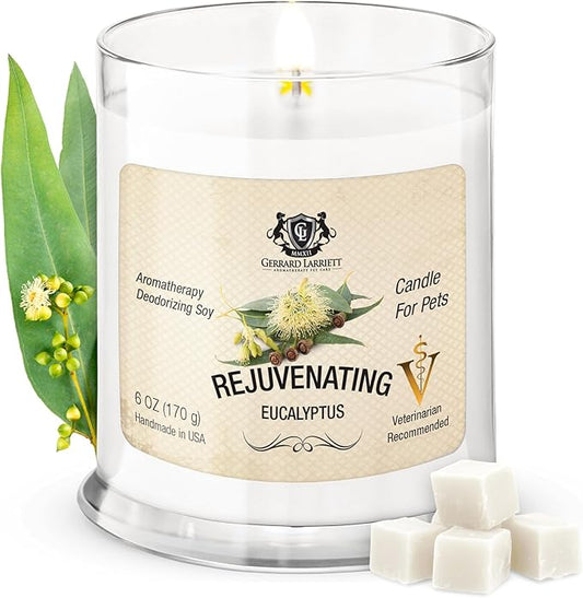 Pet Odor Eliminator Candle Rejuvenating Eucalyptus Scented Candle, Calming Candles Aromatherapy for Home Decor, Soy Wax Pet Candles Odor Eliminator for Animal Lover, Aromatherapy by Gerrard Larriett
