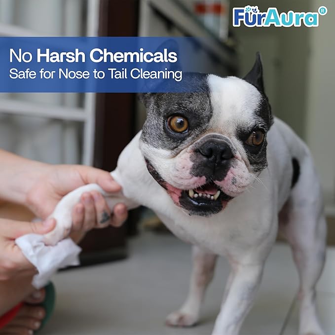 99% Water Dog Wipes, Extra Large 8x8 Puppy Wipes for Sensitive Skin – Hypoallergenic Pet Wipes for Grooming Tear Stain, Face, Ears, Eyes Paws & Butt – Alcohol Free, Biodegradable, Unscented 100 Count