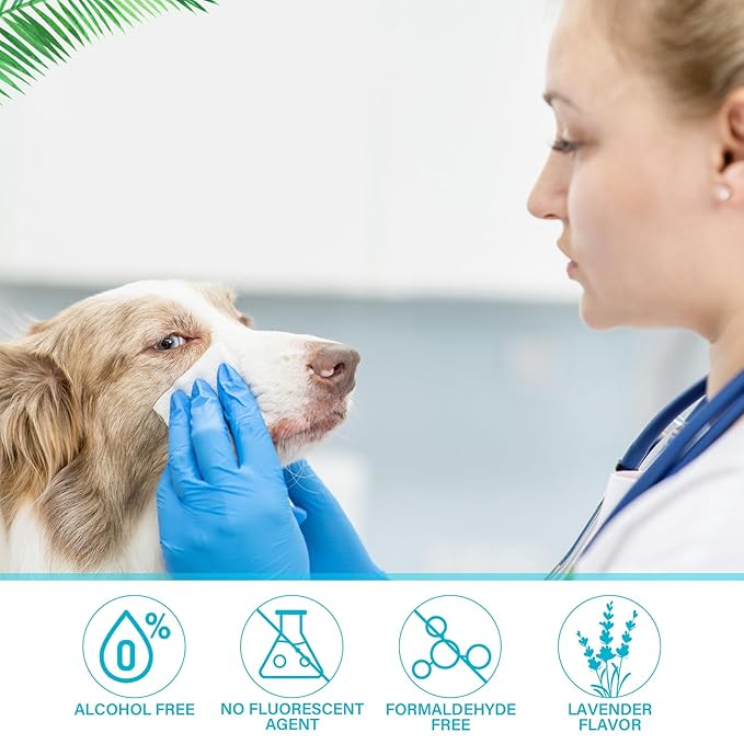 Treela 10 Packs of 800 Dog Wipes Pet Wipes Cat Grooming Supplies for Paws, Butt, Ear, Skin, Eye, Body Cleaning Bath Stain Odor Remover, Home or Travel Use(Coconut)