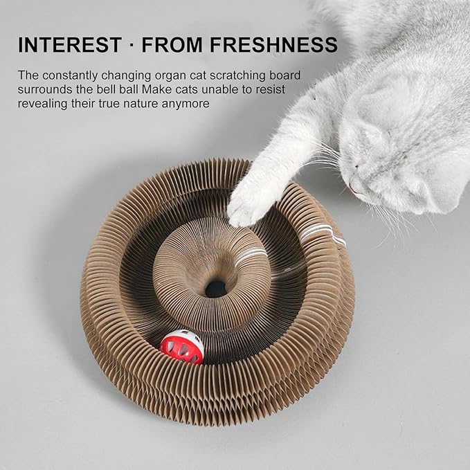 2PC Kitty Curls Cat Toy,Magic Organ Cat Toy,Cat Scratcher for Grinding Claw Cardboard Cat Toys,Interactive Scratch Pad with Toy Ball