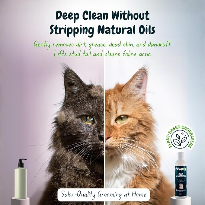 Petway Petcare Cat Shampoo, Anti Dandruff Shampoo for Deep Cleanse & Degreasing, Removes Excess Oils, Dirt and Dandruff, pH Balanced, Parabens & Sulfates Free, Cruelty Free, 8.5 Fl Oz