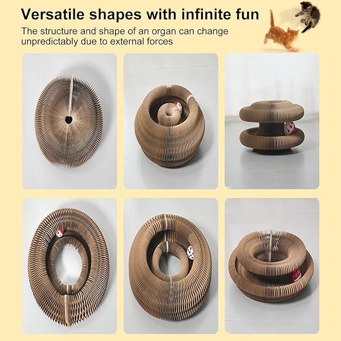 2PC Kitty Curls Cat Toy,Magic Organ Cat Toy,Cat Scratcher for Grinding Claw Cardboard Cat Toys,Interactive Scratch Pad with Toy Ball