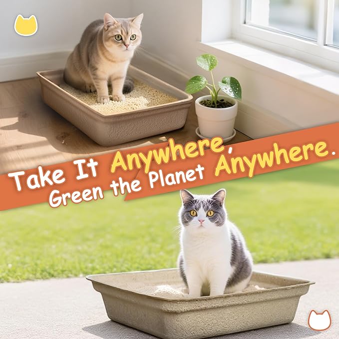 Disposable Litter Boxes for Cats Leak-Proof: 6-Pack Odor Control Sustainable Large Kitty Tray for Travel/Indoor Use