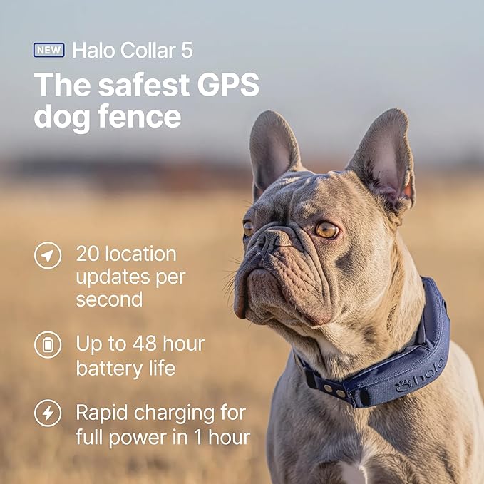 Halo Collar 5, New Wireless Dog Fence & GPS Dog Collar, Subscription Required, Waterproof, Graphite, One Size