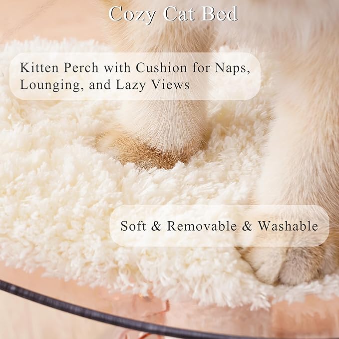 Kicari Modern 3-in-1 Interactive Cat Toy, Puzzle Box Cat Puzzle Toys for Indoor Cats with Bed/Perch, Small Cotton Scratching Posts, Colorful Jingle Balls, Dangling Toy Accent, Acrylic Pink