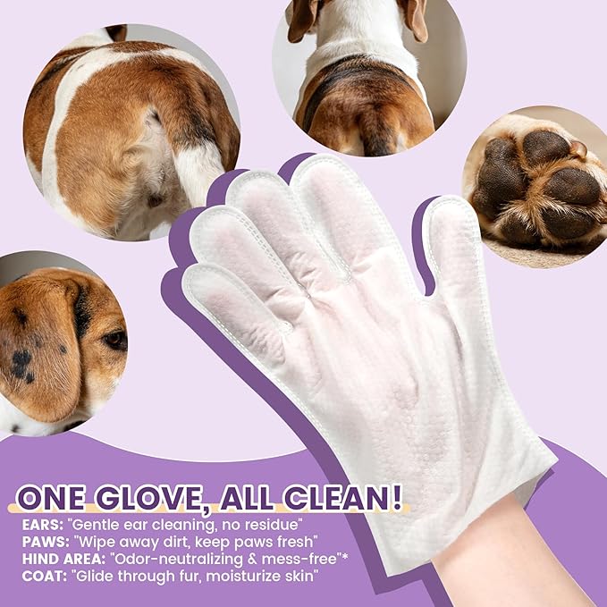50 Pcs Cleaning Deodorizing Pet Glove Wipes for Dogs & Cats, Hypoallergenic Dog Bath Wipes with Natural Deodorizer Persimmon Tannin, Pet Bathing Wipes for Horse Coat Care Lavender Scent