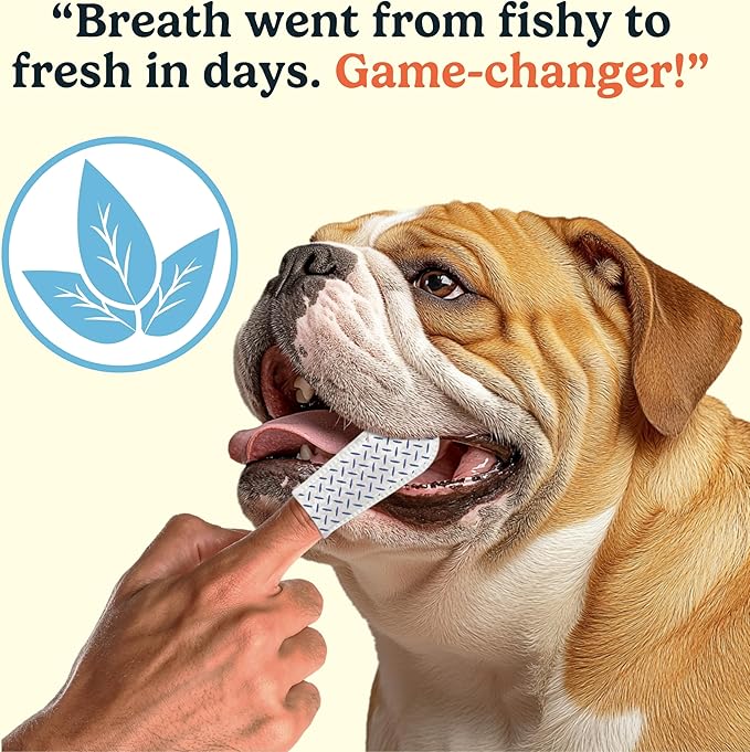Jasper Dog Dental Wipes, Vet-Recommended All-Natural Finger Toothbrush Wipes for Dogs, Fresh Breath & Tartar Control in Seconds – No Brush and Toothpaste Needed, Coconut, 60 Count