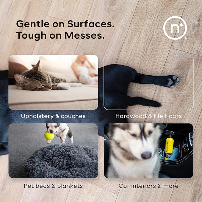 Nonaste Pet Stain & Odor Eliminator Spray (16 Oz, Pack of 1) – Enzyme Cleaner Spray for Dogs & Cat Messes, Works on Carpets & Upholstery | Pet & Kid Safe, Urine Odor Stain Remover, Light Fresh Scent