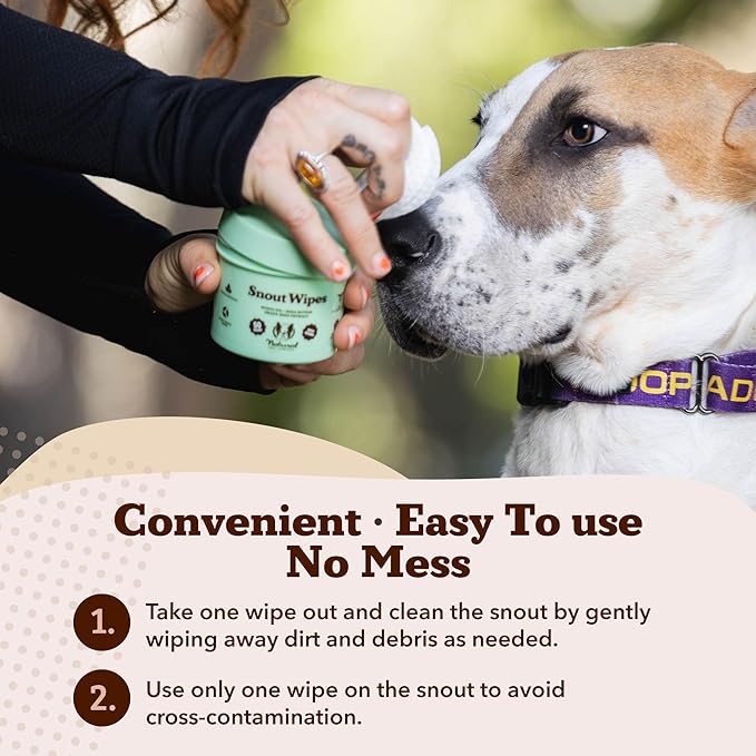 Natural Dog Snout Wipes, 50 Count - Snout Dog Wipes for Cleaning and Soothing, Natural, Non-Toxic Dog Care Products, Kukui Oil Infused, Snout Soother Wipes, Nourishing and Moisturizing Wipes for Dogs