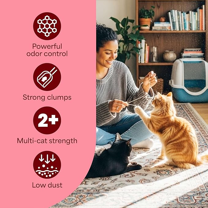 Fresh Step Clumping Cat Litter, Multi-Cat, Long Lasting Odor Control Kitty Litter with Activated Charcoal, Low Dust Formula, 14 lb