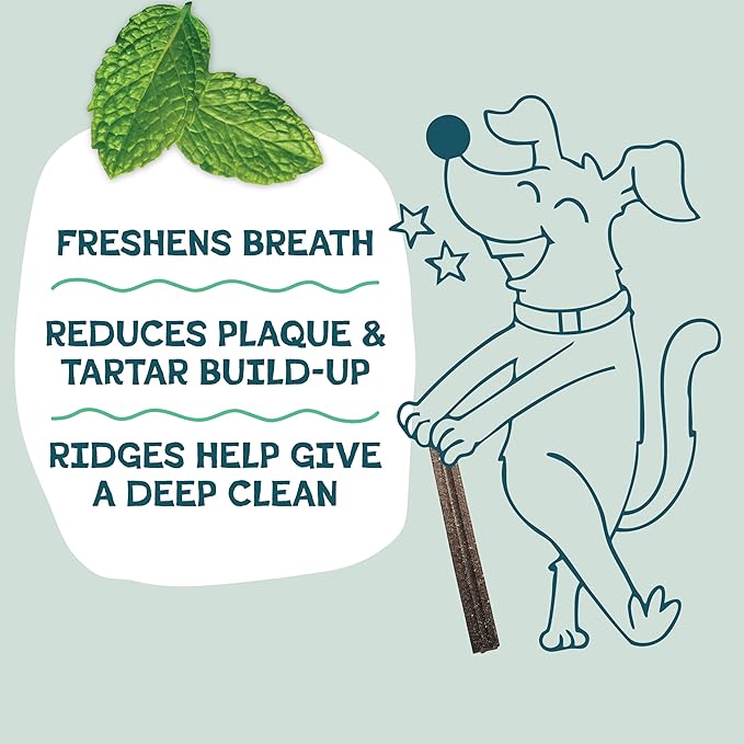 Shameless Pets Triple Mint Dental Chews for Dogs, 32 Chews - Natural Dog Teeth Cleaning Treats with Fresh Breath Benefits | Grain-Free Dental Sticks for Small, Medium & Large Dogs