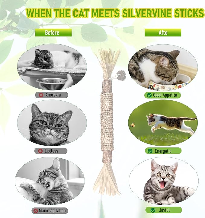 BAWAN Catnip Toys‖ Silvervine for Cats: Cute Cat & Kitten Toys for Indoor Cats Interactive‖ Cat & Kitten Teething Chew Toys for Aggressive Chewers‖ Silvervine Sticks Ca.t Dental Toy (5PCS)