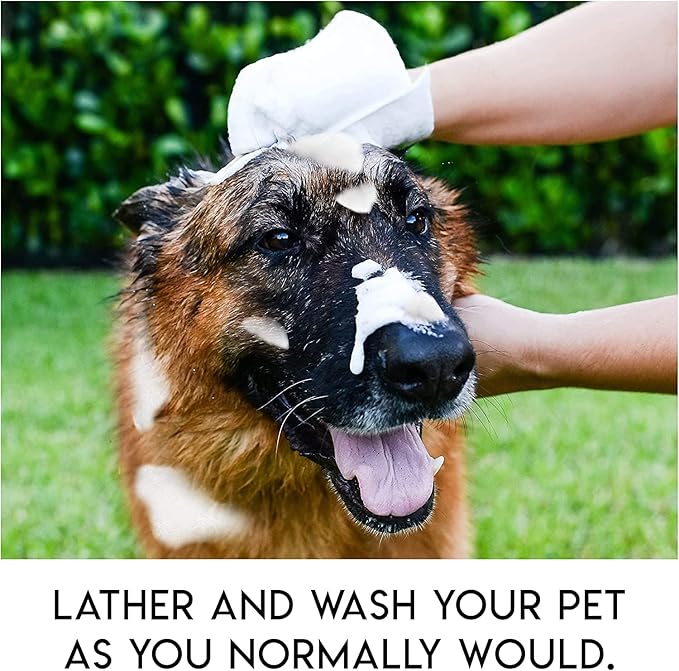 No Rinse Wipes | Rinse Free Shampoo Mittens | Dogs & Cats | Bath Wipes | Bathing & Washing Pets, Hypoallergenic | No Rinse Wash Mitt | Grooming, Lather Wipe Dry - Pack of 20