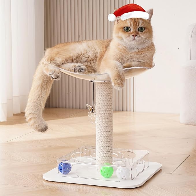 Kicari Modern 3-in-1 Interactive Cat Toy, Puzzle Box Cat Puzzle Toys for Indoor Cats with Bed/Perch, Small Cotton Scratching Posts, Colorful Jingle Balls, Dangling Toy Accent, Acrylic White