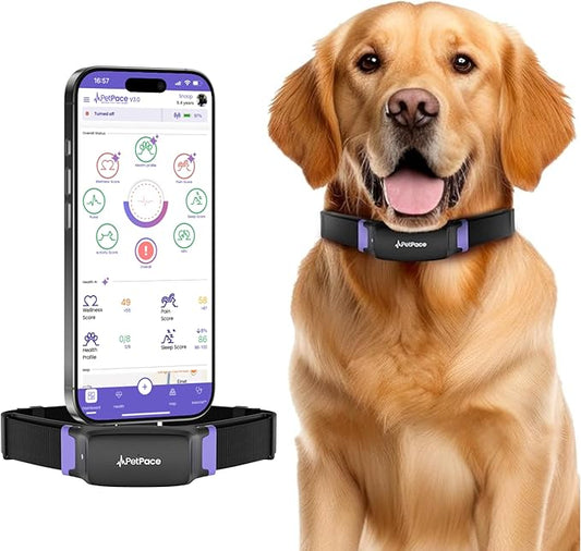 NEW Dog Health Monitor V3.0 by PetPace – AI Smart Collar with 24/7 Vital Signs, Pain & GPS Tracking, Telehealth AskaVet & Share With Your Vet, Smartwatch Sync – Subscription Required (Large)