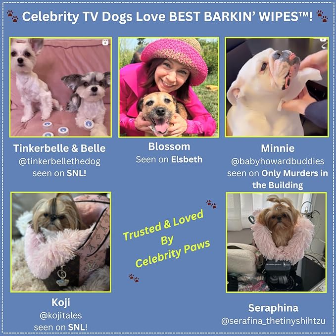 Best BARKIN' Wipes with Free Mesh Bag - Dog Wipes for Paws Ears and Butt - Micellar Aloe Scented Travel Friendly Puppy Wipes (100-Pack)