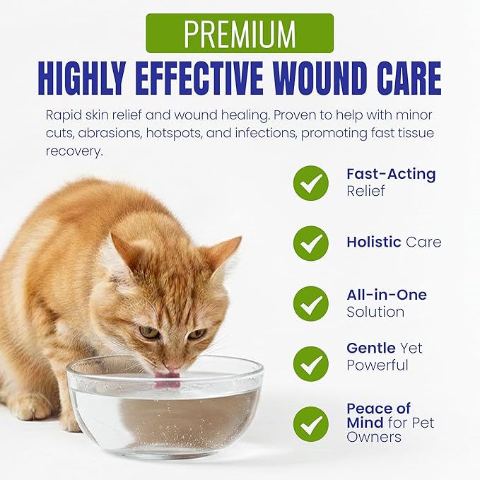 Holistic Pet Care - Colloidal Silver for Dogs, Cats, Horses & Birds - 20 PPM Effective Wound Care, Hot Spot Treatment, Skin Relief & Immune Support - All-Natural Pet Colloidal Silver (1 Gallon)