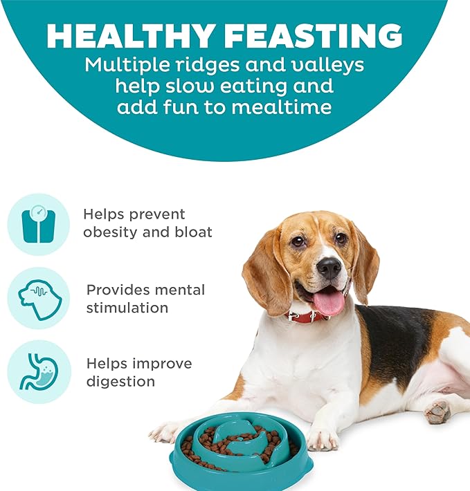 Outward Hound Fun Feeder Slo Bowl – Medium 2‑Cup Capacity, Slow Feeding, Small to Medium Dogs & Cats, Non-Slip, Turquoise, Drop Pattern