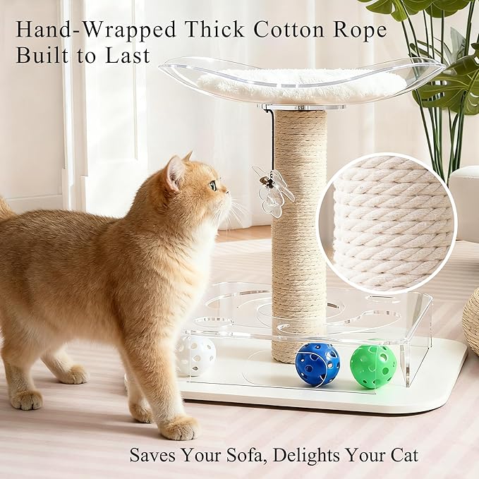 Kicari Modern 3-in-1 Interactive Cat Toy, Puzzle Box Cat Puzzle Toys for Indoor Cats with Bed/Perch, Small Cotton Scratching Posts, Colorful Jingle Balls, Dangling Toy Accent, Acrylic White