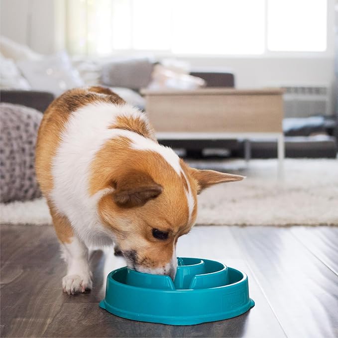 Outward Hound Fun Feeder Slo Bowl – Medium 2‑Cup Capacity, Slow Feeding, Small to Medium Dogs & Cats, Non-Slip, Turquoise, Drop Pattern