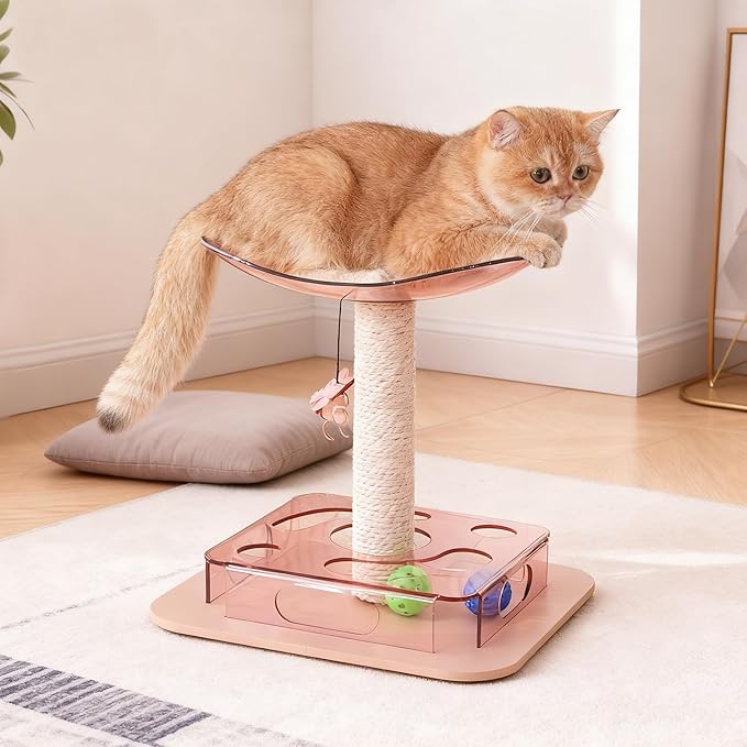 Kicari Modern 3-in-1 Interactive Cat Toy, Puzzle Box Cat Puzzle Toys for Indoor Cats with Bed/Perch, Small Cotton Scratching Posts, Colorful Jingle Balls, Dangling Toy Accent, Acrylic Pink
